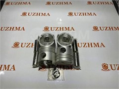 Поршень Nissan Atlas ED33 комплект 4шт 12010-J6500