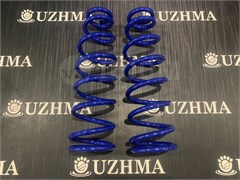 Пружина SV50 задняя 482313H270