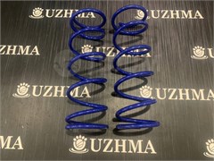 Пружина Z10 передняя 540104UB20