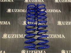 Пружина RD1 задняя 52441S10A01