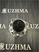 Ступичный узел ZVW30 задний NHW30 42450-47040