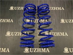 Пружина Y11 (2WD) 279 задняя 2242453