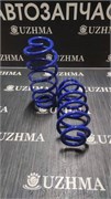 Пружина GE6 задняя 新