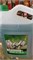 Антифриз -40C зелёный 5 кг 10729 - фото 1107