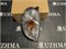 Габаритный огонь Toyota NADIA SXN10 98-01 R 4420R M3 - фото 1875