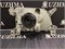 Фара Toyota Hiace LH103 L 2121196L - фото 4358