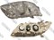 Фара Toyota FIELDER NZE121 R 21211G4R N - фото 6878